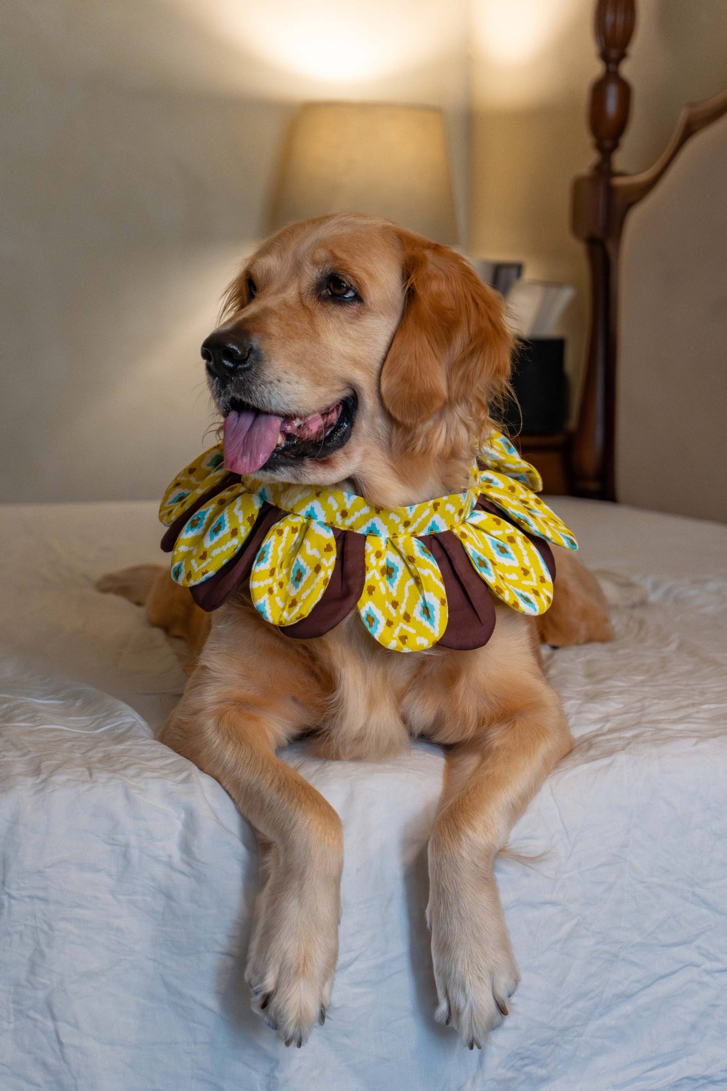 The Sunflower Collar