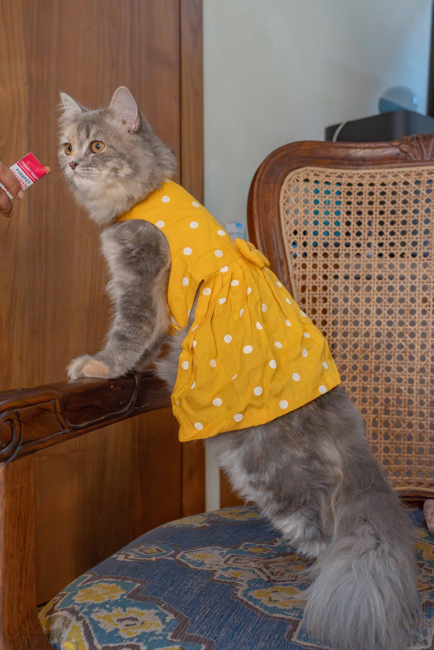 The Yellow Polka Dot Dress