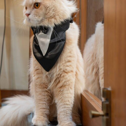 The Cat Tuxedo