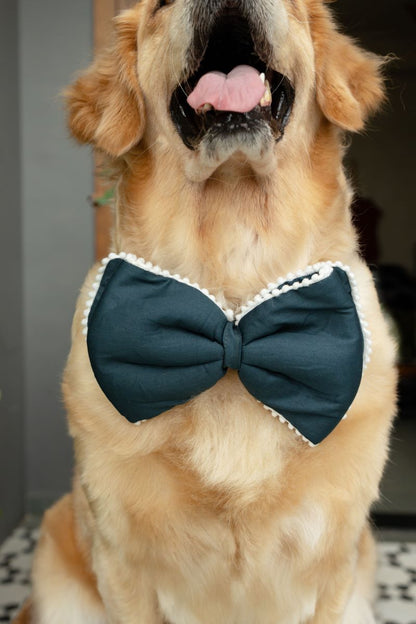 The Double layer Classic Bow