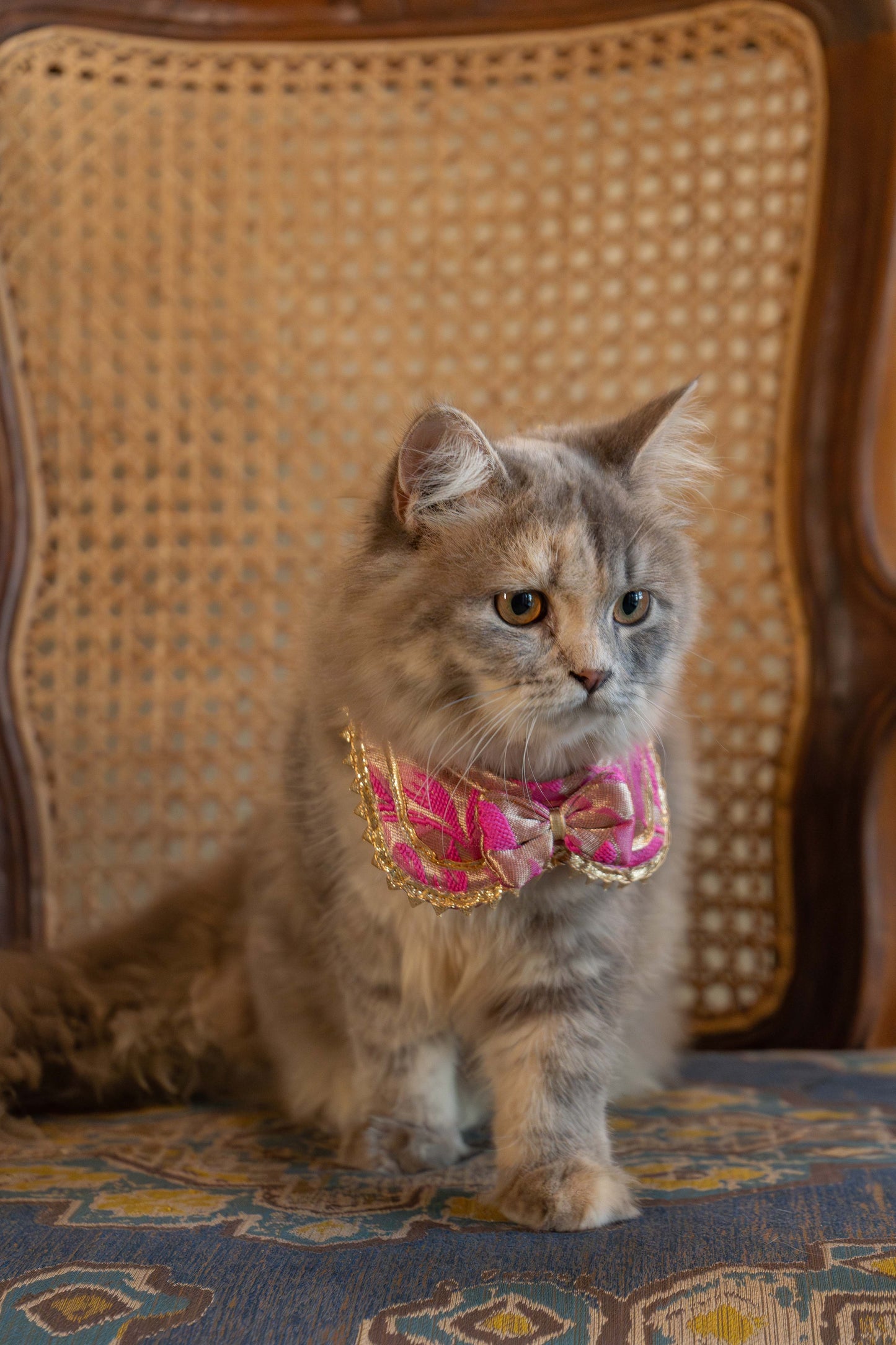 The Festive Bow