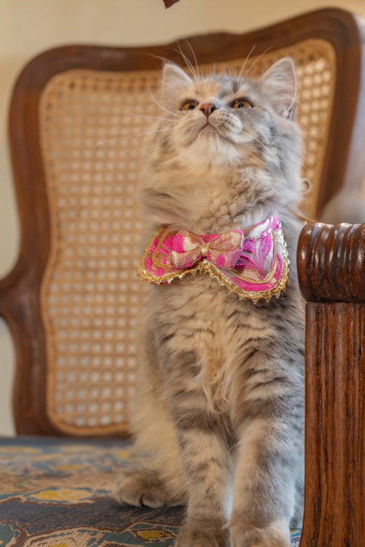 The Festive Bow