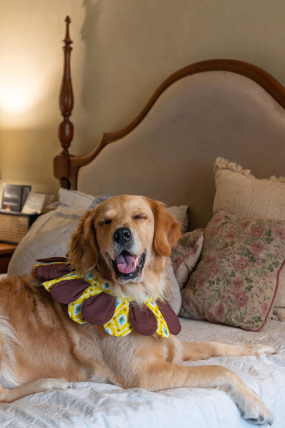 The Sunflower Collar