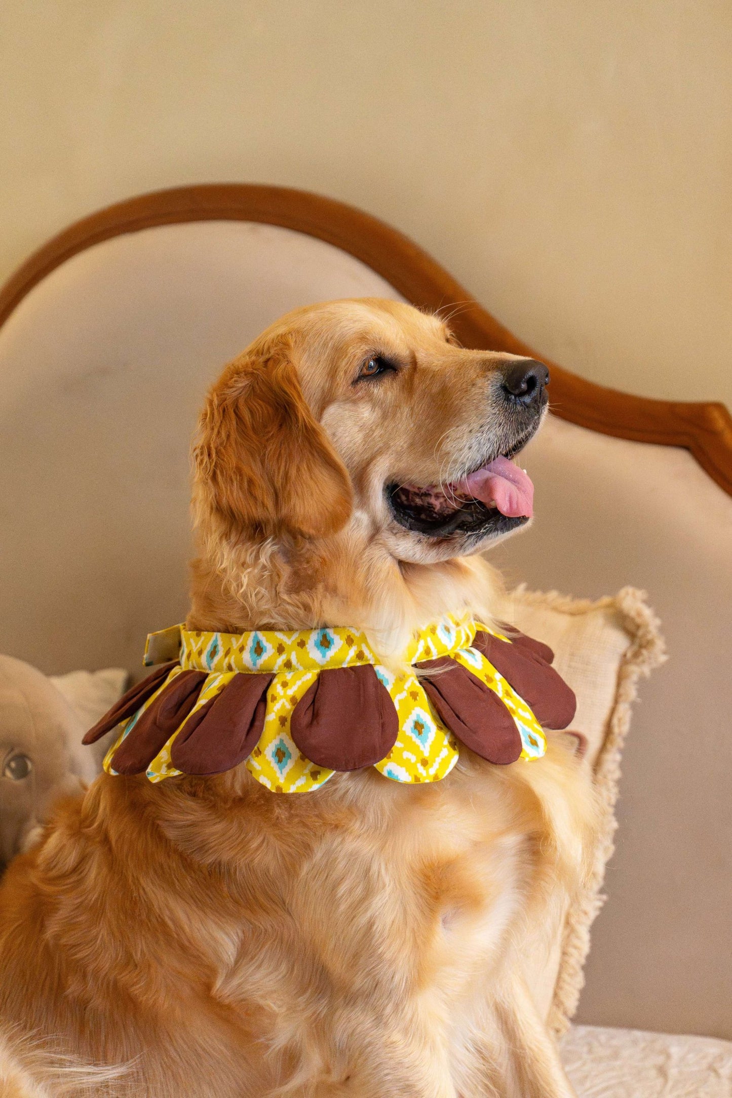 The Sunflower Collar