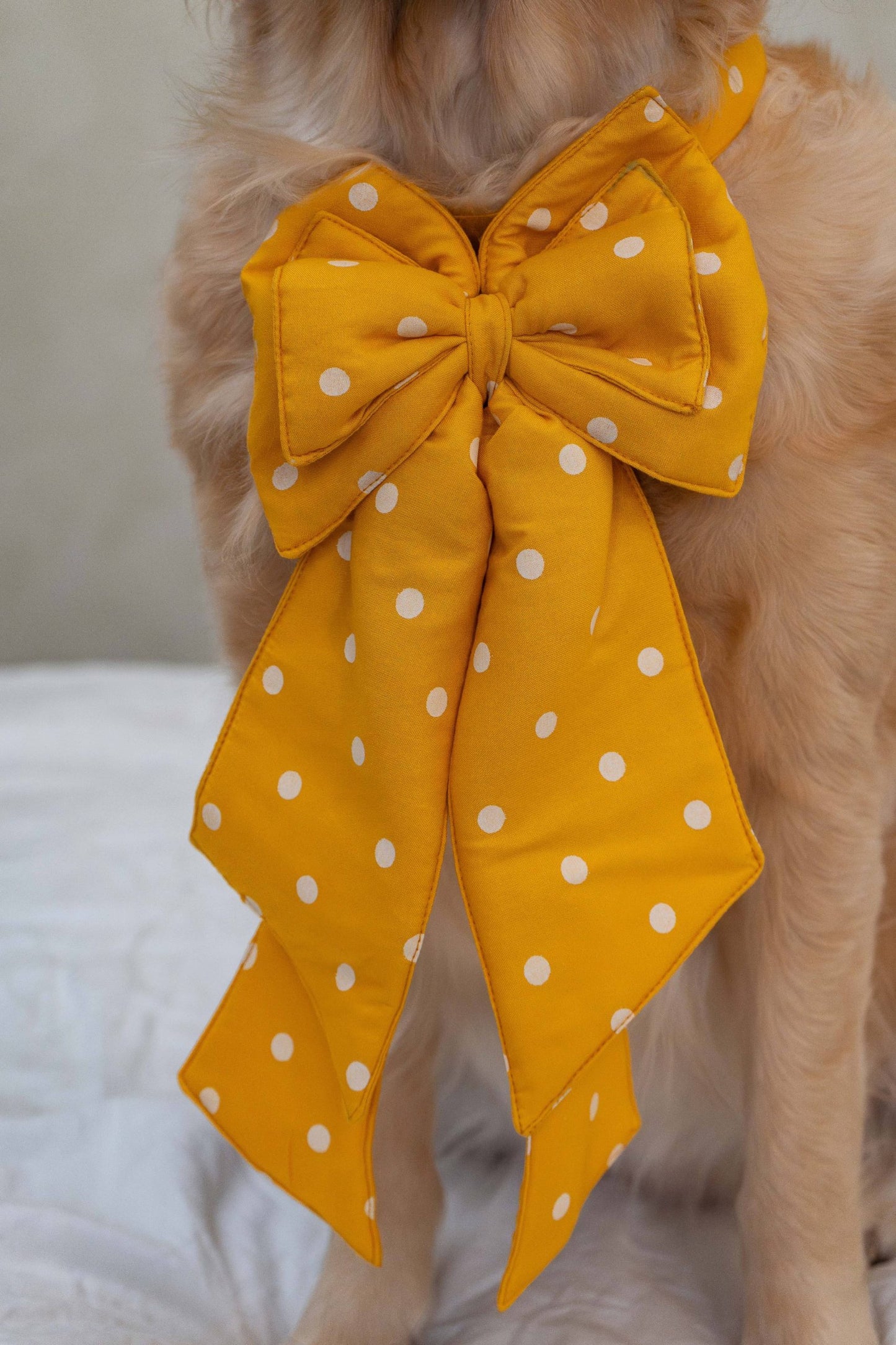 The Yellow Gift Bow