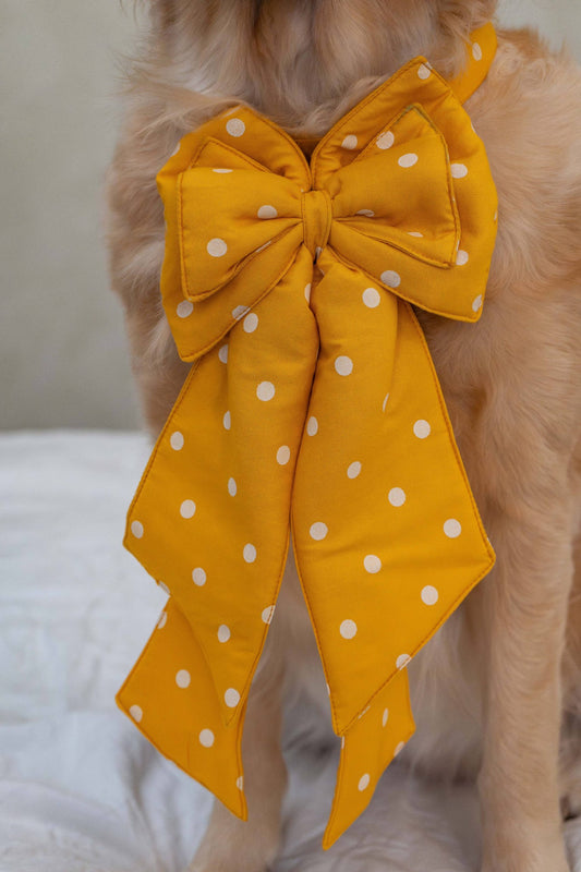 The Yellow Gift Bow