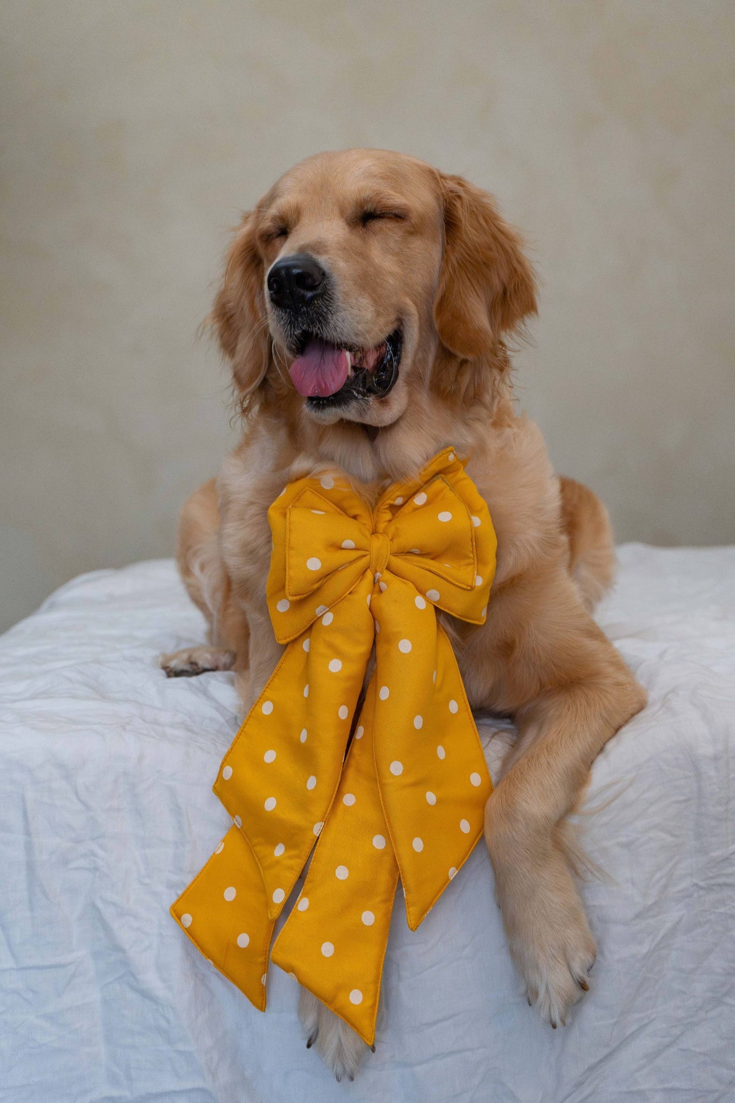 The Yellow Gift Bow