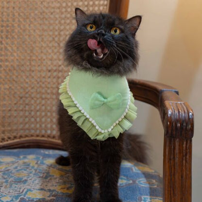 The Cat Bandana