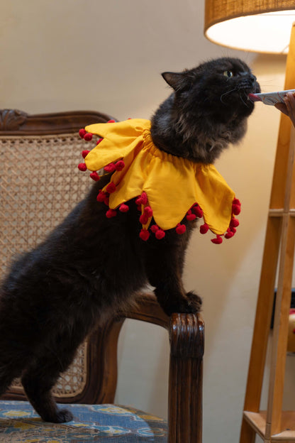 The Sunflower Cat Collar