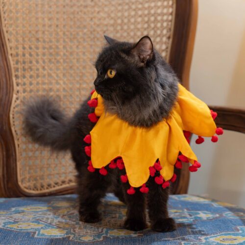 The Sunflower Cat Collar