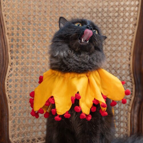 The Sunflower Cat Collar