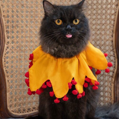 The Sunflower Cat Collar