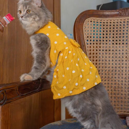 The Yellow Polka Dot Dress